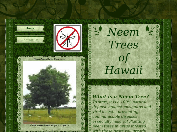 www.neemtreesofhawaii.com