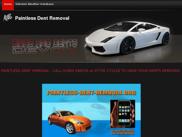 www.paintless-dent-removal.org