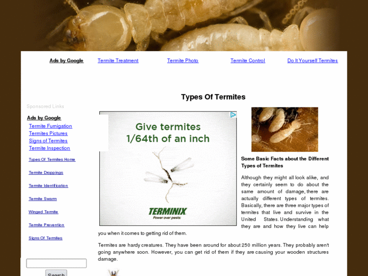 www.typesoftermites.net