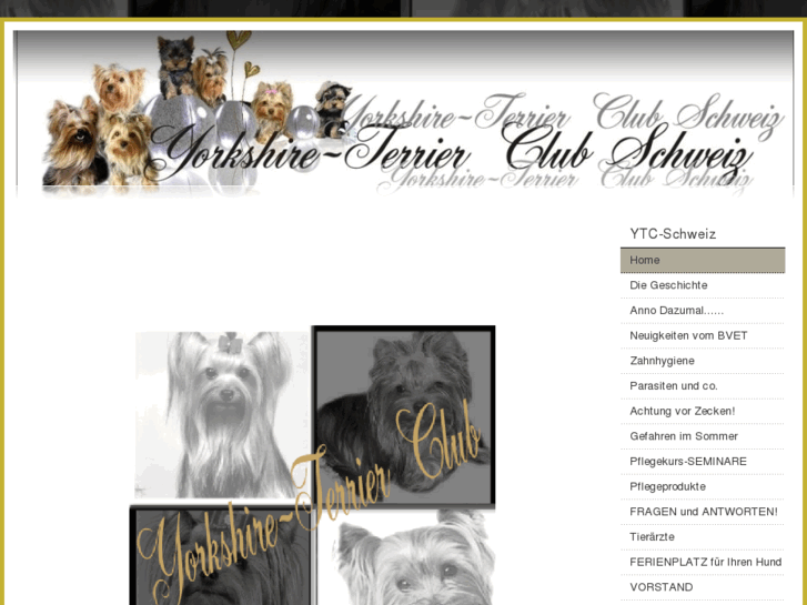 www.yorkshire-terrier-club-schweiz.com