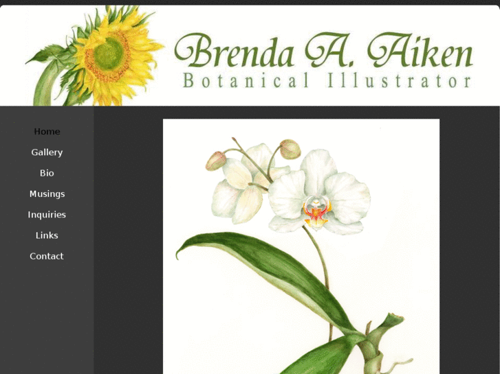 www.brendaaiken.com