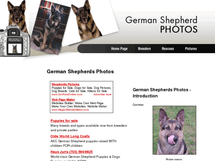 www.german-shepherd-photos.com