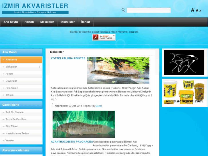 www.izmirakvaristler.com