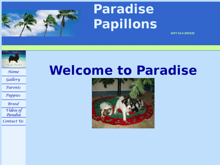 www.paradisepapillons.com