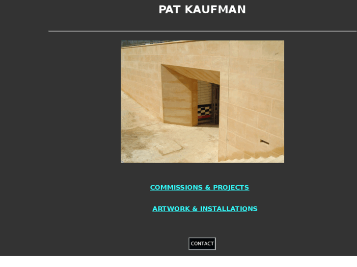 www.patkaufman.com