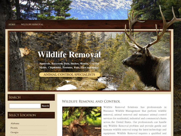 www.wildliferemovalsolutions.com