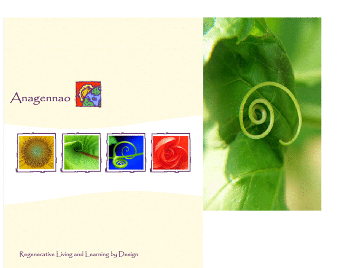 www.anagennao.org