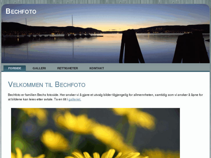 www.bechfoto.com