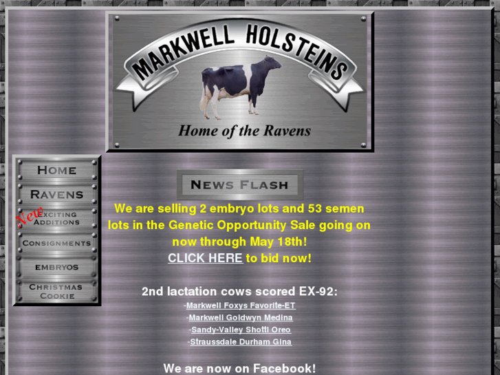 www.markwellholstein.com