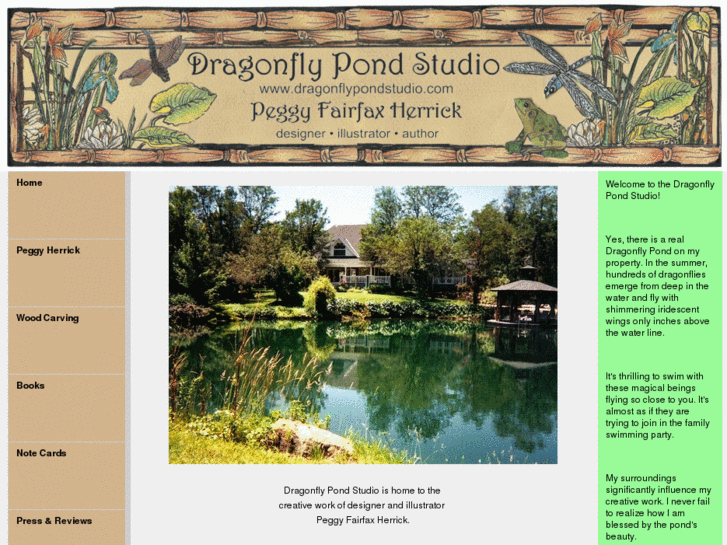 www.dragonflypondstudio.com