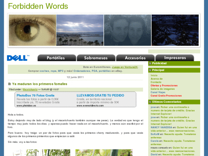 www.forbiddenwords.net