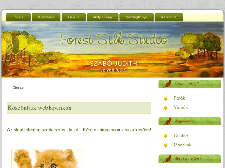 www.forestsilkstudio.com