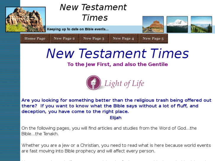 www.newtestamenttimes.com