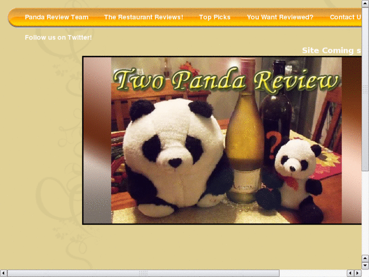 www.2pandareview.com