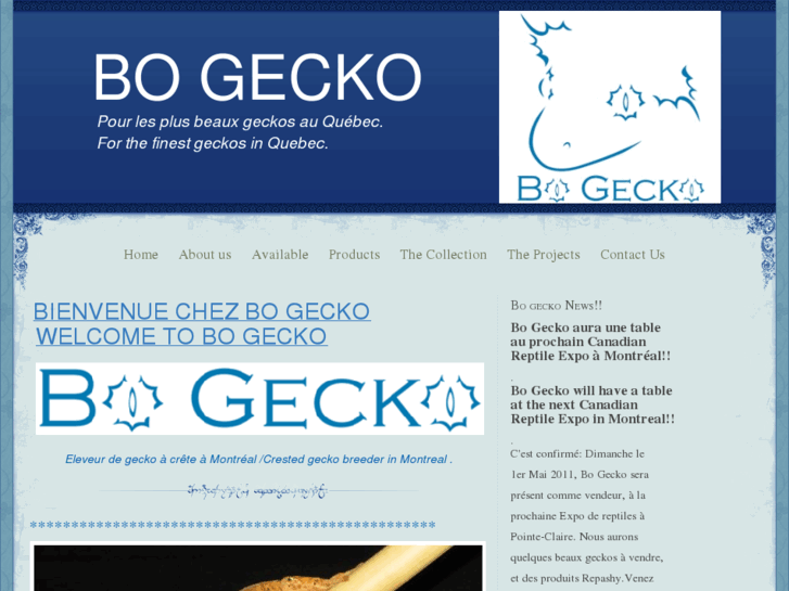 www.bogecko.ca