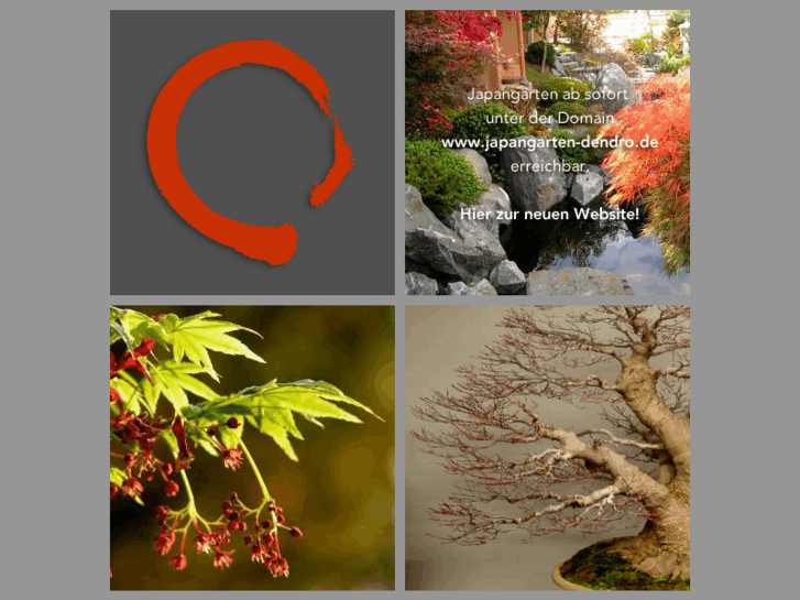 www.dendro-bonsai.com