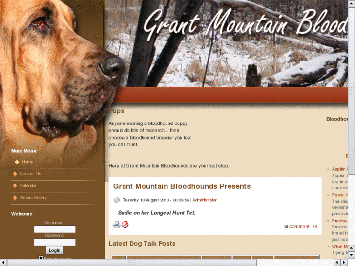 www.grantmtnbloodhounds.com