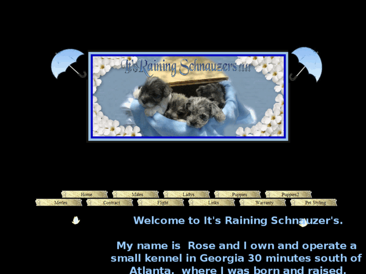 www.itsrainingschnauzers.com