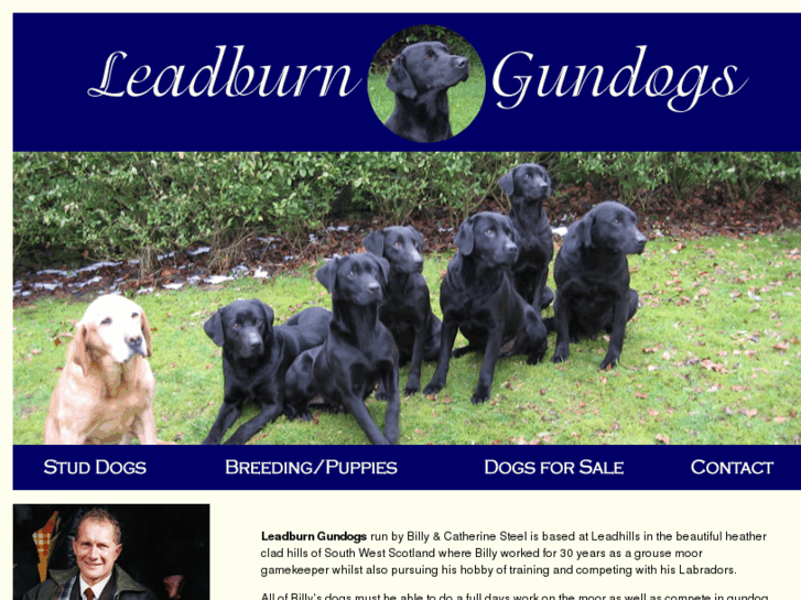 www.leadburngundogs.com