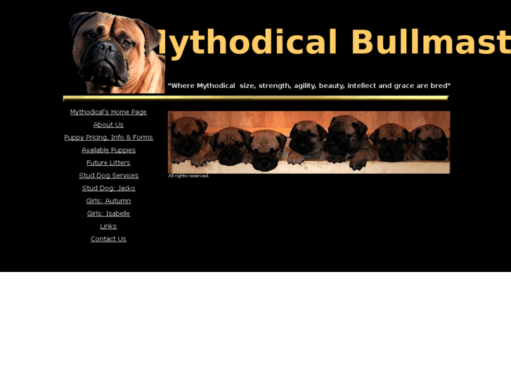 www.mythodicalbullmastiffs.com