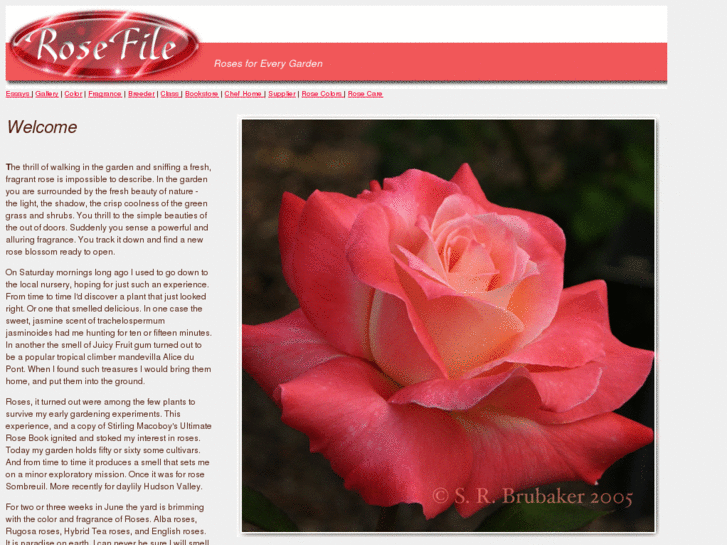 www.rosefile.com