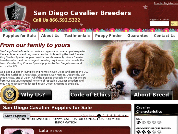 www.sandiegocavalierbreeders.com