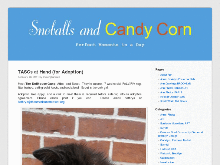 www.snoballsandcandycorn.com