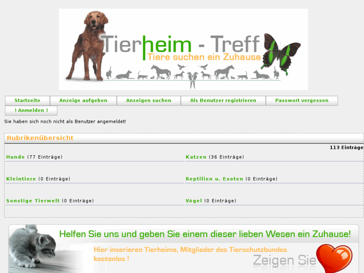 www.tierheim-treff.de