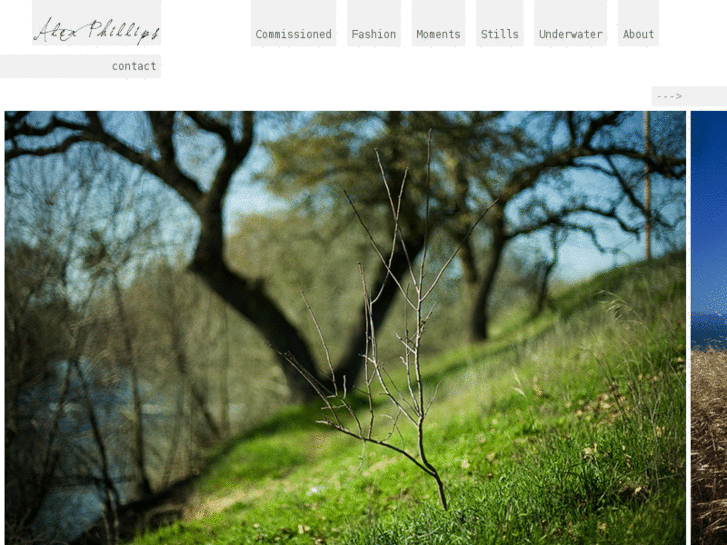 www.alexandra-phillips.com
