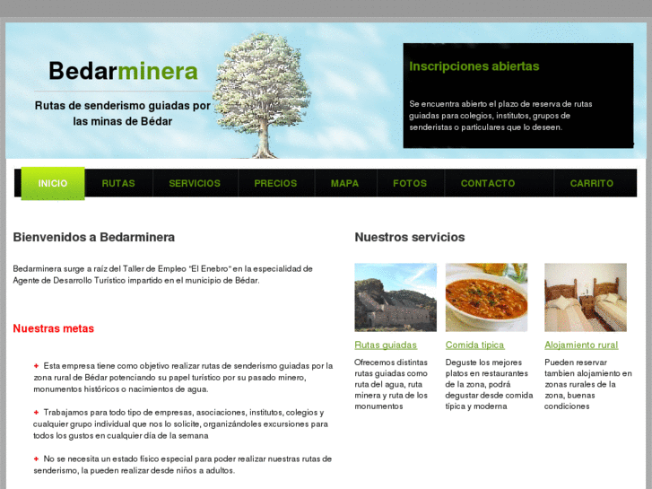 www.bedarminera.com