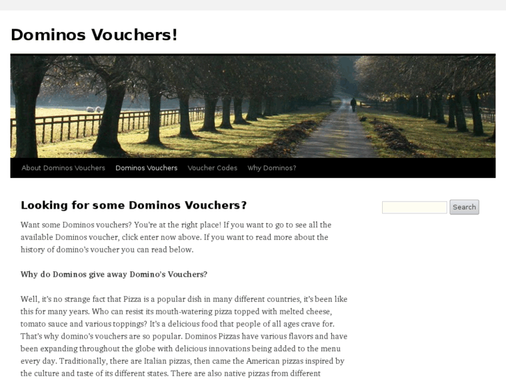 www.dominosvouchers.org