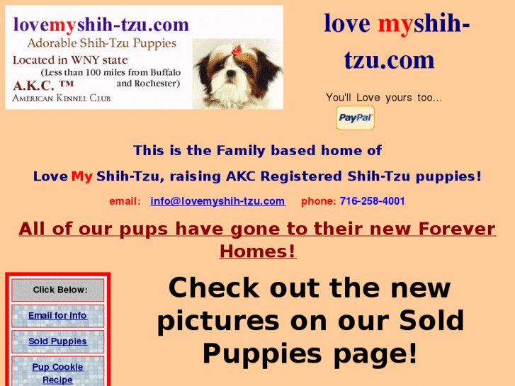 www.lovemyshih-tzu.com