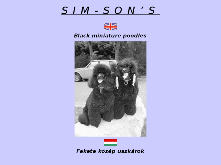 www.simsons-poodles.com