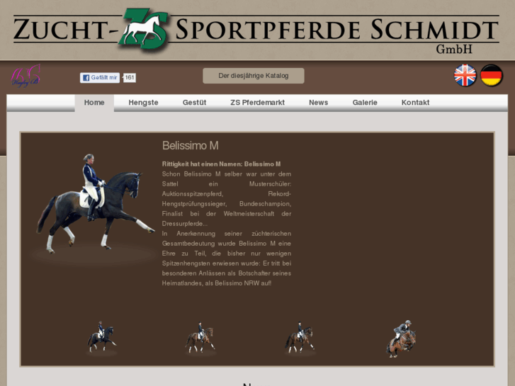 www.sportpferde-schmidt.de