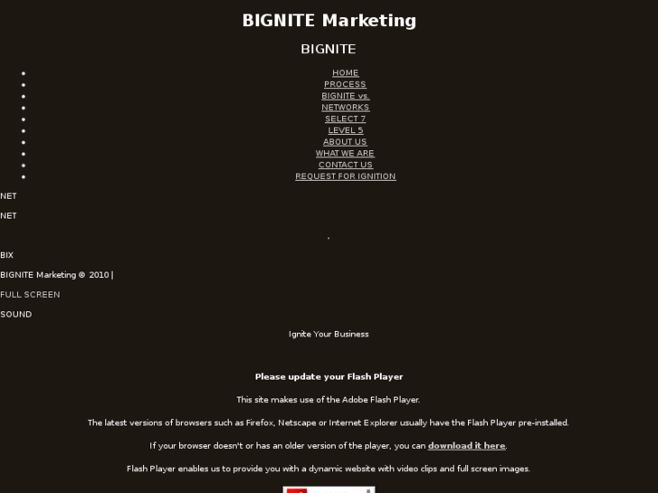 www.bignitemarketing.com