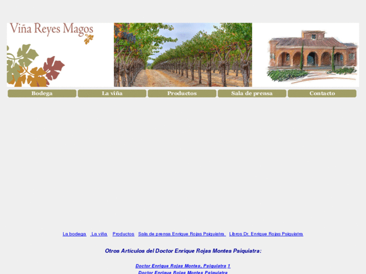 www.bodegasvinareyesmagos.com