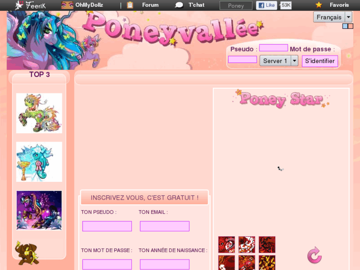 www.poneyvallee.com