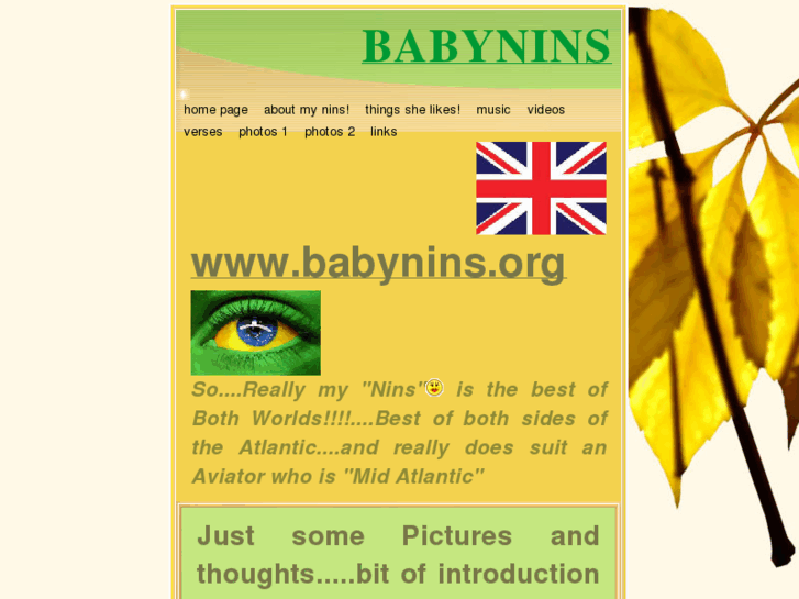 www.babynins.org