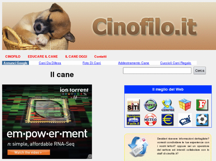 www.cinofilo.it