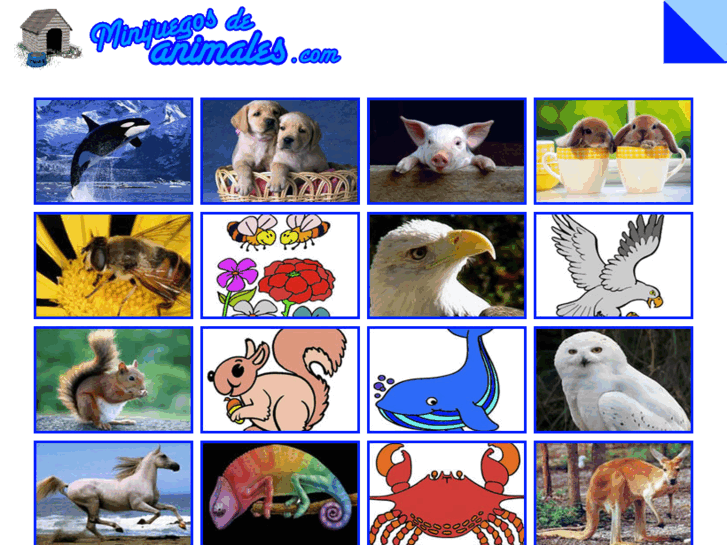 www.minijuegosdeanimales.com