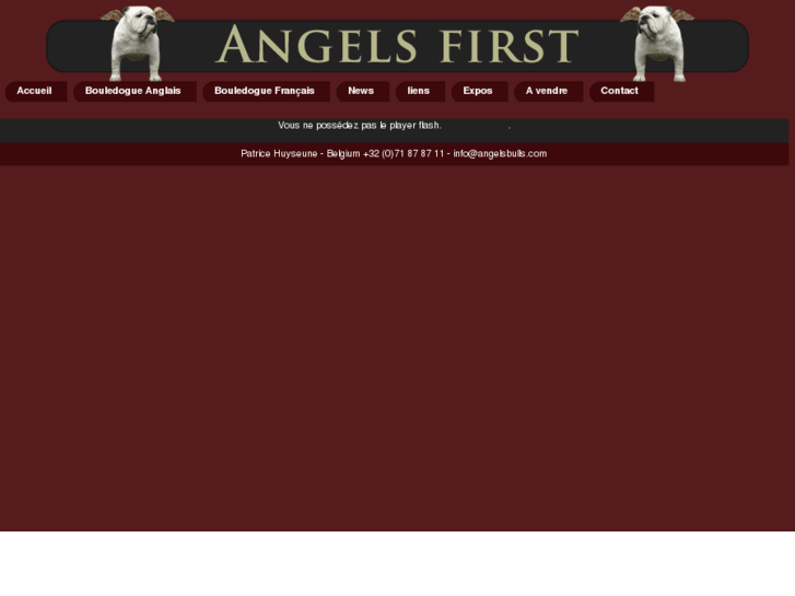 www.angelsbulls.com