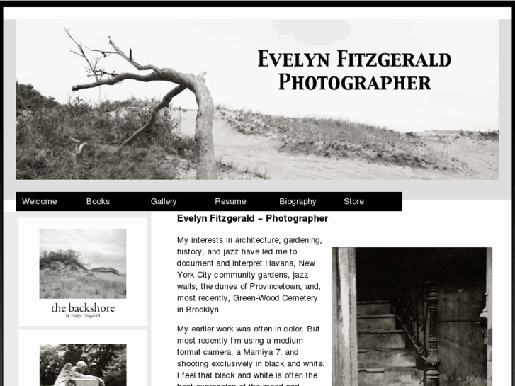 www.evelynfitzgerald.com