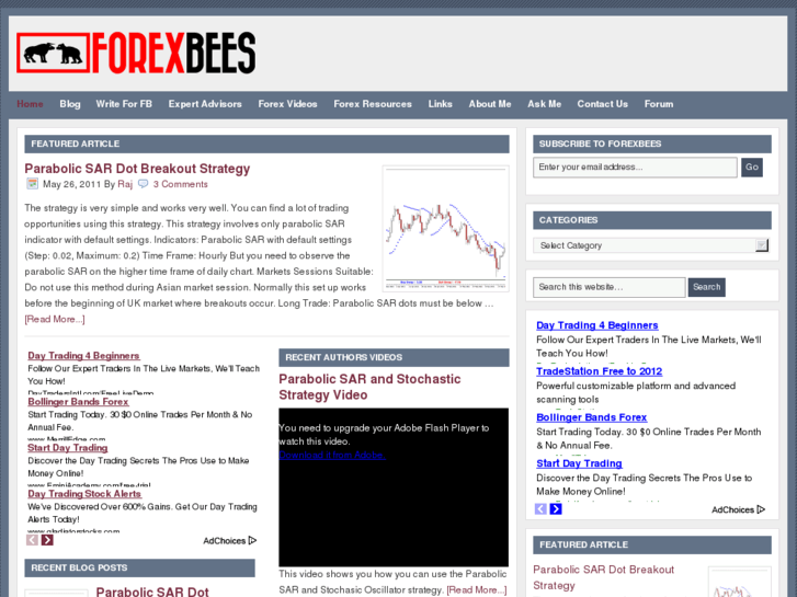 www.forexbees.com