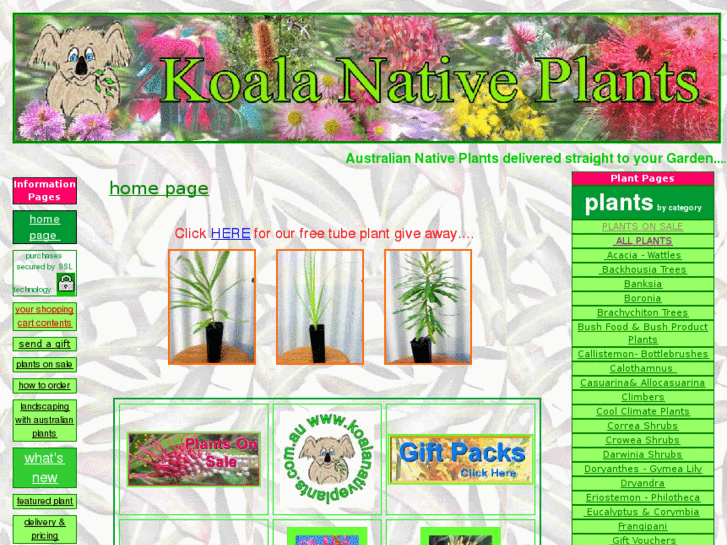 www.koalanativeplants.com.au