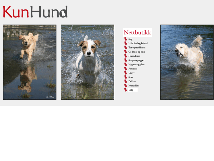 www.kunhund.no