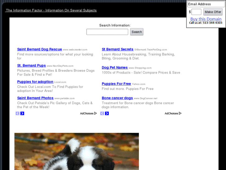 www.stbernardpuppiesforsale.com