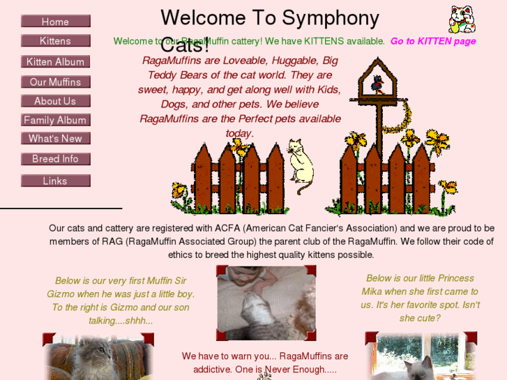 www.symphonycats.com