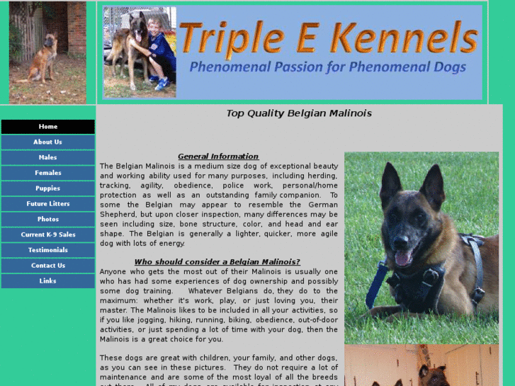 www.tripleekennels.net