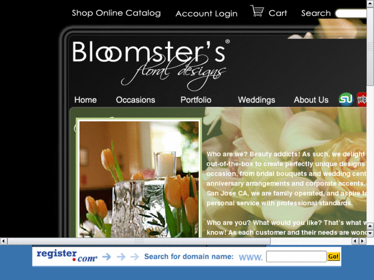 www.bloomster.net
