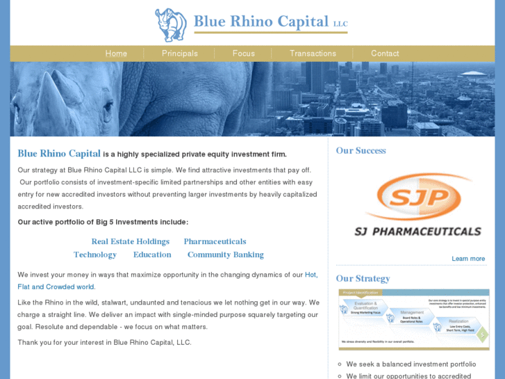 www.bluerhinocapital.com